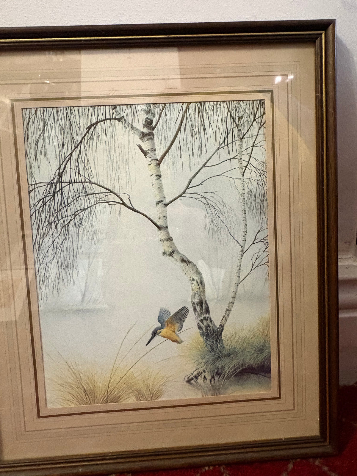 Framed bird artwork showing a kingfisher flying beside a white-barked birch tree.