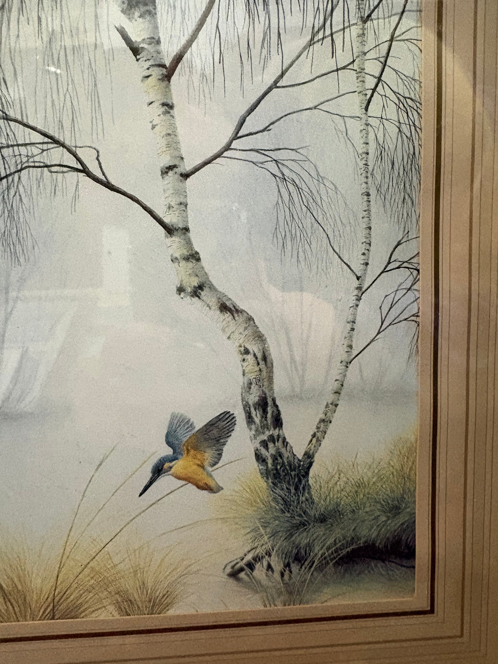 Close-up of a blue and orange kingfisher flying beside the birch trunk and grasses.