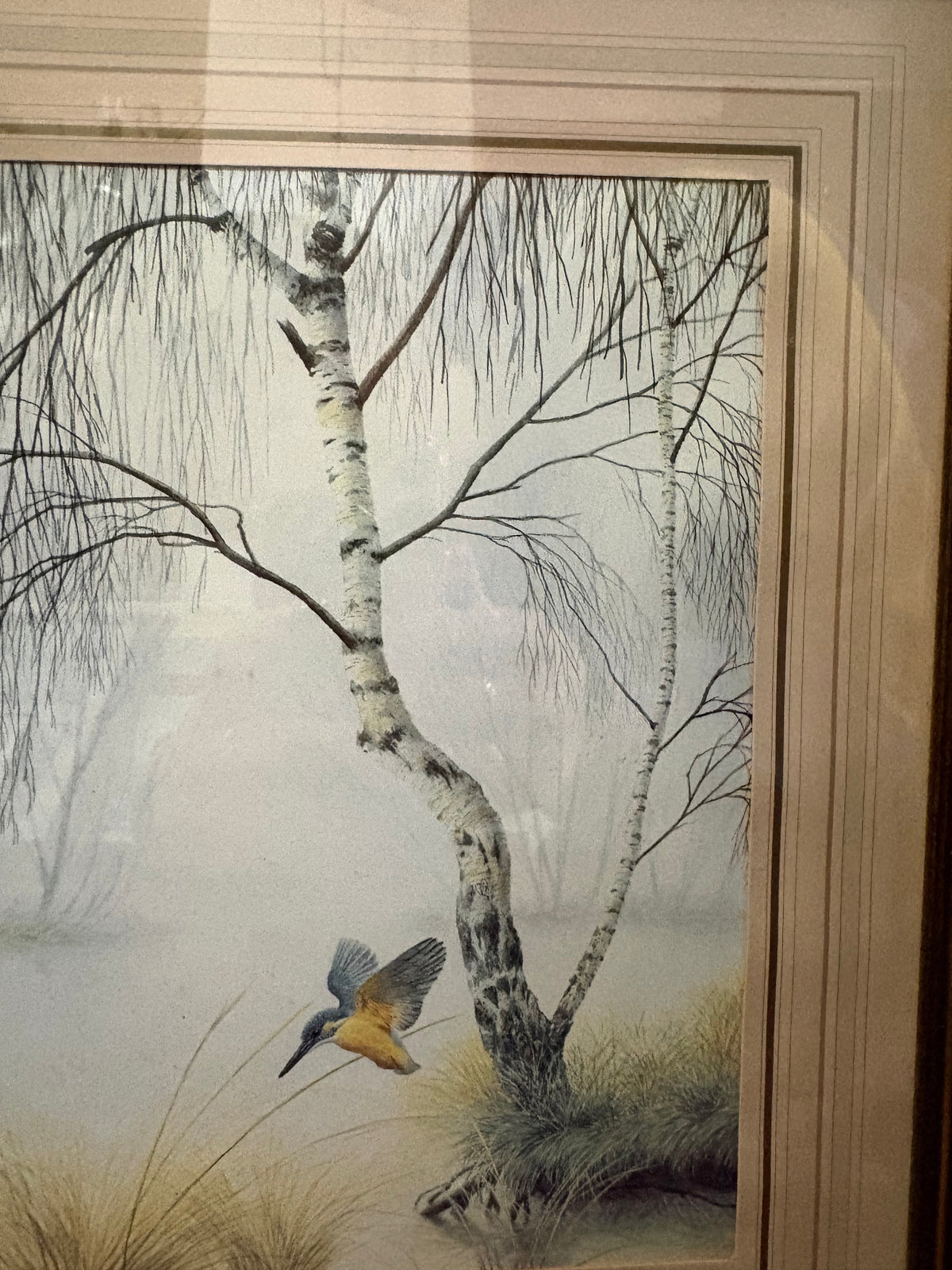 Right-side detail of the kingfisher artwork showing white-barked birch trunks and a flying bird.